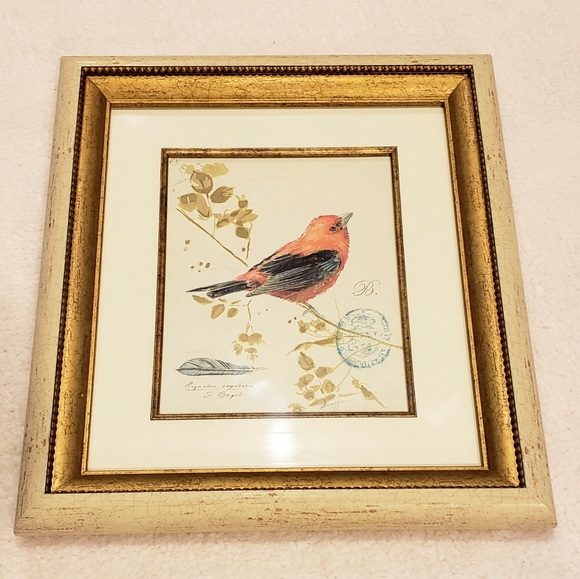 Bird picture. - Picture 2 of 9